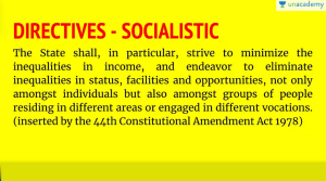 DPSP Socialistic Principles