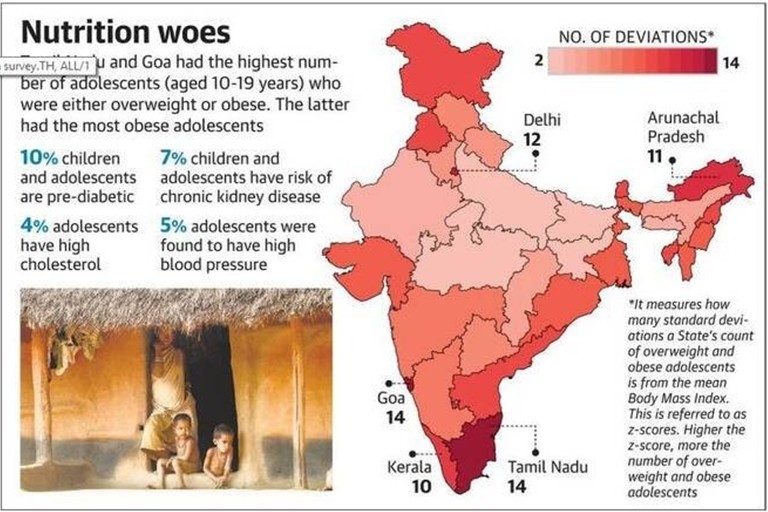 National Nutrition Survey